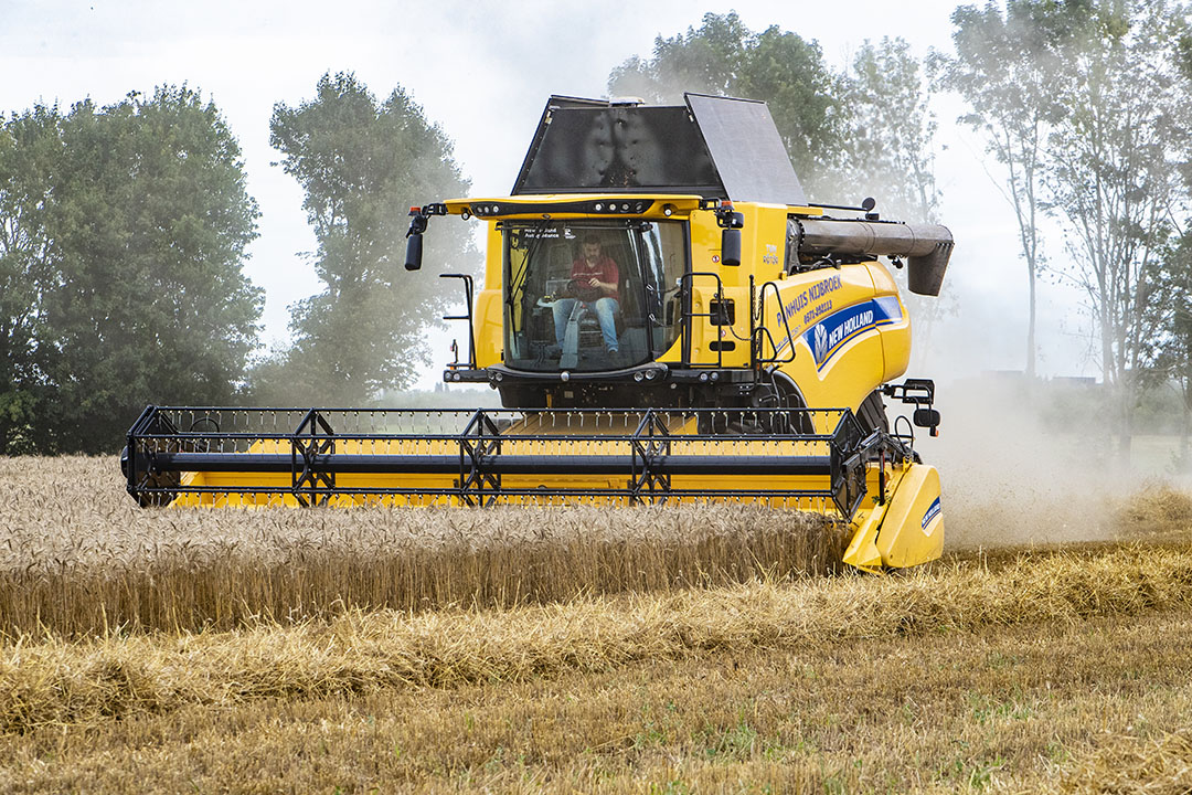 The recent speedy increase of grain prices, and corn prices in particular, seems to have stopped. However, grain is still quite expensive. Photo: Ronald Hissink