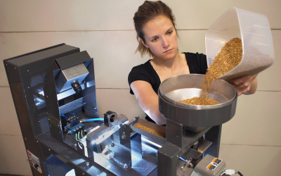 New seed sorter separates wheat types with 98% accuracy