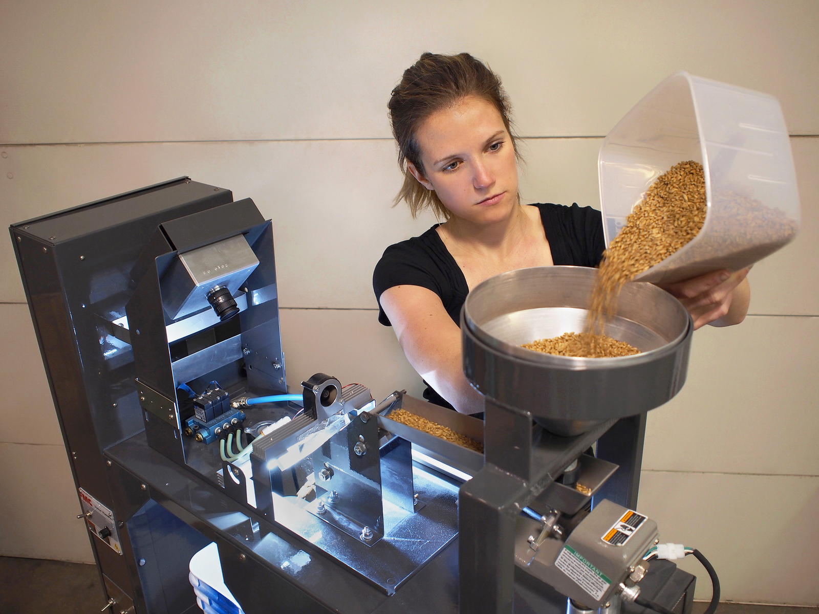 New seed sorter separates wheat types with 98% accuracy