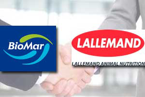 Lallemand and BioMar extend accord on fishfeed probiotics
