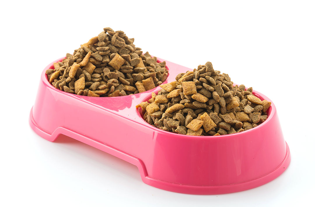 Pet food on white background. Photo: topntp26
