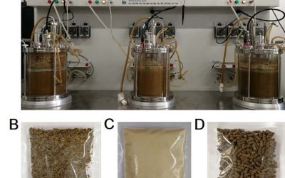 (A) Formulation of biotransforming agents by liquid fermentation. (B) Biotransforming agent of microbes. (C) Biotransforming agent of enzymes. (D) Pelleting feed mixed with detoxifying microbes.