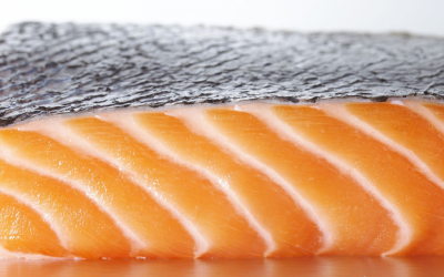 Fast growing transgenic salmon in US shops