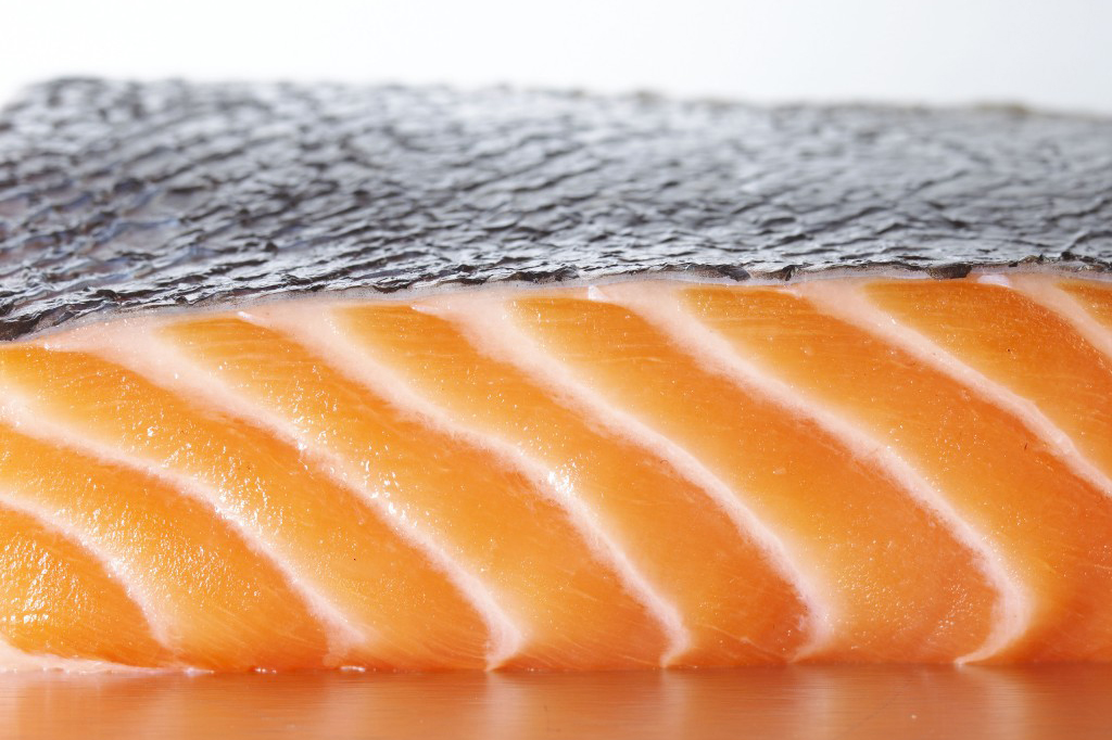 Fast growing transgenic salmon in US shops