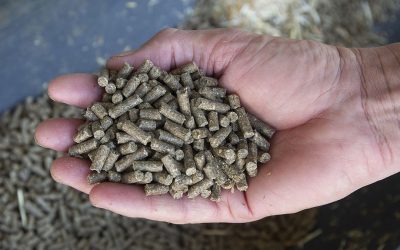 Pelleted animal feed is rich in cereals, but in order to further move towards a circular agriculture, more co-products should be used to feed animals such as pigs and chickens. Photo: Ronald Hissink