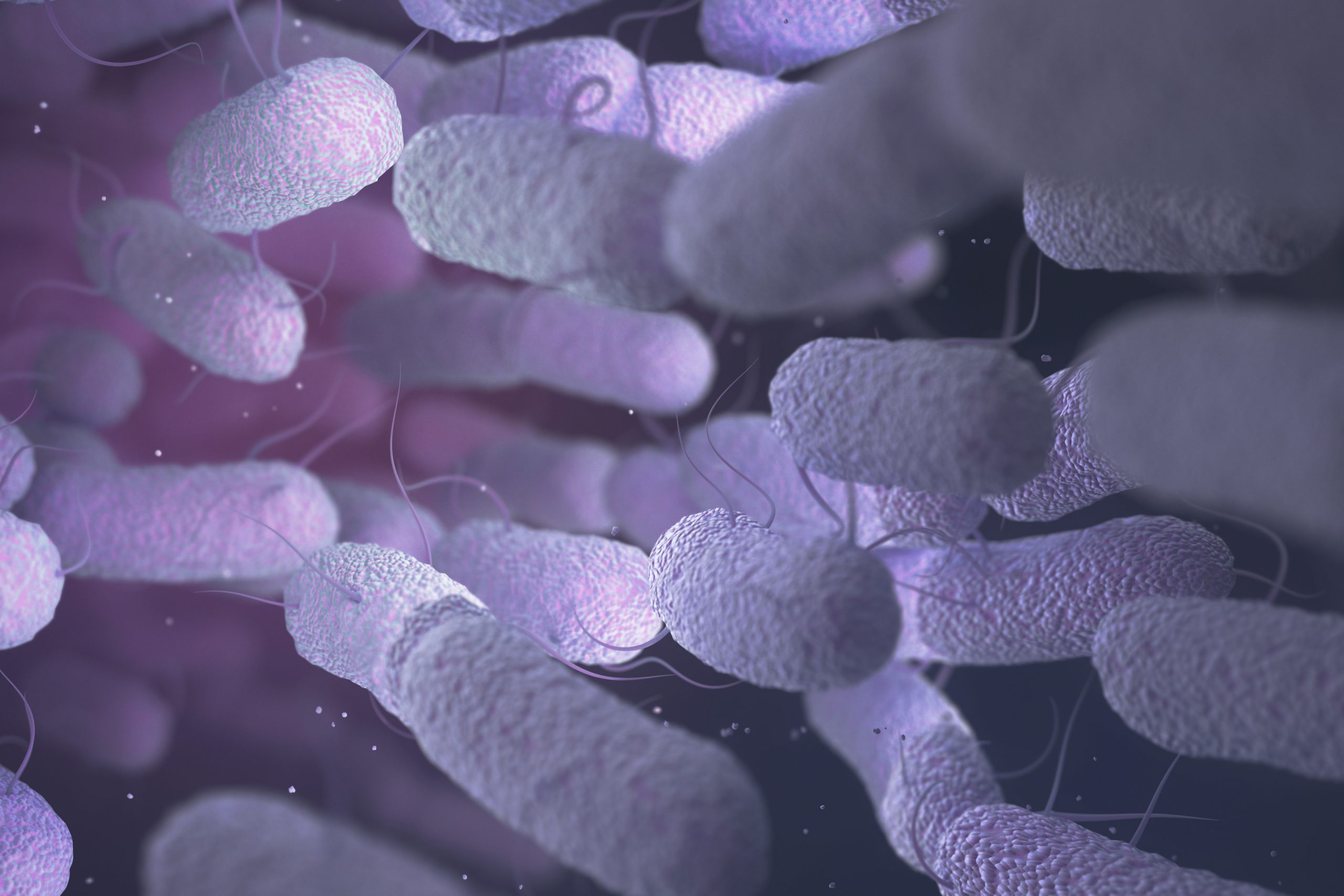 Impacts of gut microbiota on animal health. Photo: Shutterstock
