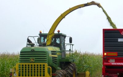 A surge in corn production for MY2020/21 is expected in Thailand due to an increase in planted area and favourable weather. Photo: Guillermo Gavilla