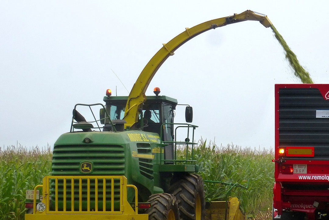 A surge in corn production for MY2020/21 is expected in Thailand due to an increase in planted area and favourable weather. Photo: Guillermo Gavilla