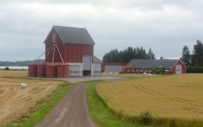 The Riola brothers farm 250 hectares of crops in Finland. Photo: Chris McCullough