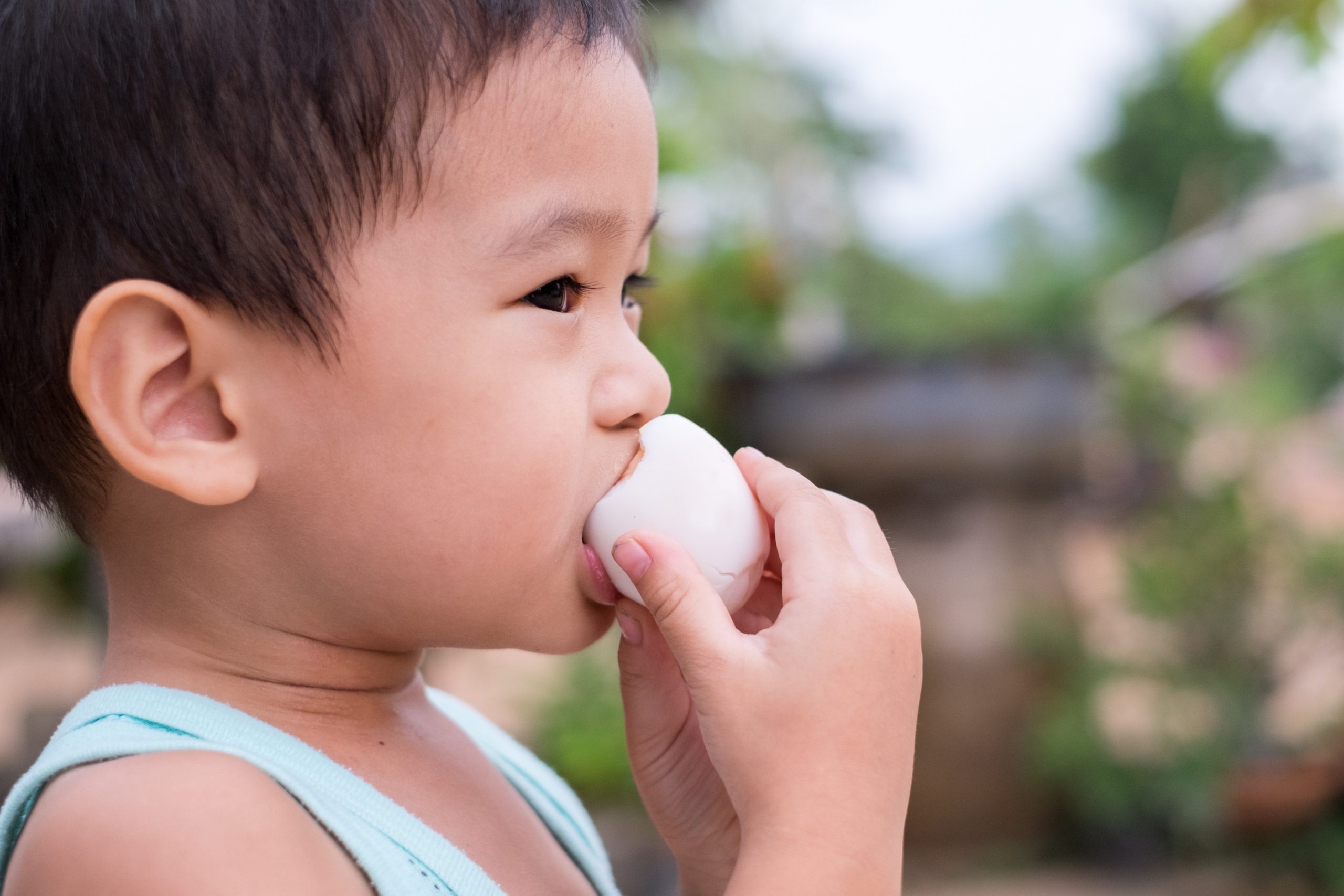 Nutritional tool to safeguard egg quality. Photo: Shutterstock