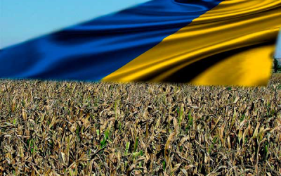 Ukraine corn may replace US corn in China