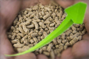 Growth for Nutreco, but fish feed under pressure