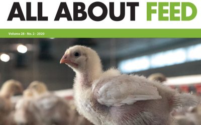 2nd edition of All About Feed 2020 now online