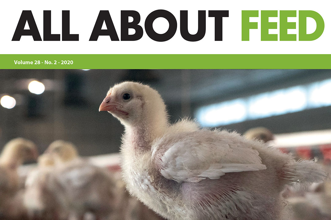 2nd edition of All About Feed 2020 now online