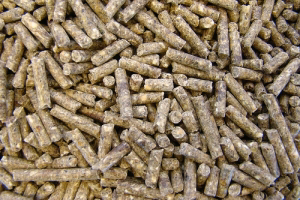 Factors affecting the hardness of feed pellets