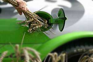 No future for first generation biofuels