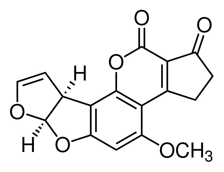 A biological approach for Aflatoxin B1 in DDGS. Photo: Shutterstock