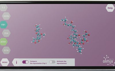 Printscreen from Myco Simulator App developed by Olmix. (Aflatoxin B1 on the left, Fumonisin B1 on the right). - Photo: Olmix