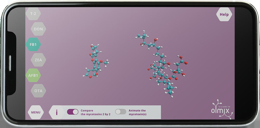 Printscreen from Myco Simulator App developed by Olmix. (Aflatoxin B1 on the left, Fumonisin B1 on the right). - Photo: Olmix