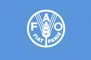FAO in search for promising animal nutrition technologies