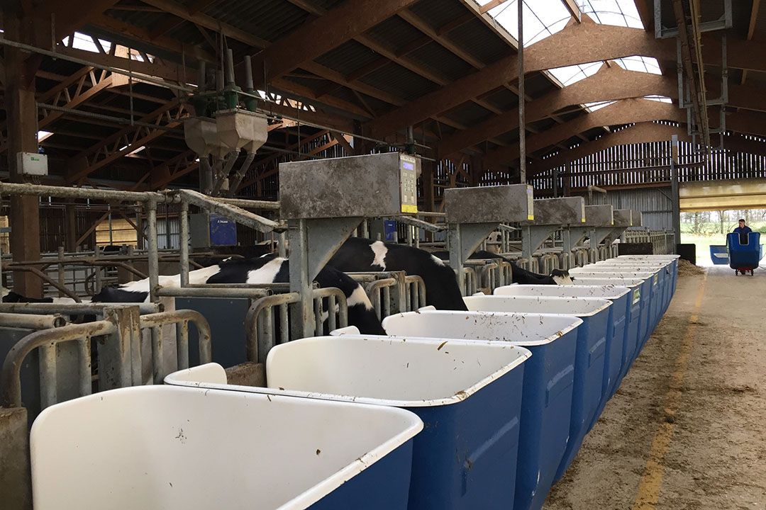 Dairy nutrition research has become a very important part for MiXscience and about a third of all the activities at MRC are dairy cow based. Photo: Emmy Koeleman