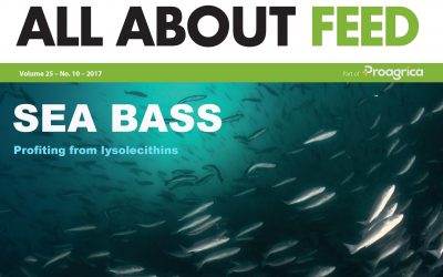 All About Feed issue 10 now available to read