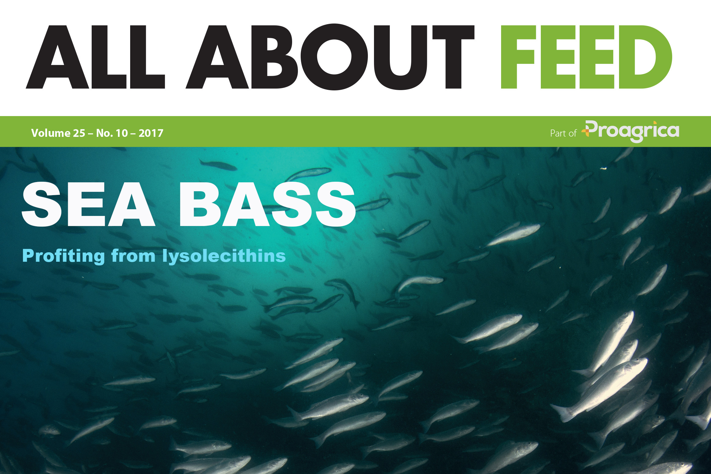 All About Feed issue 10 now available to read