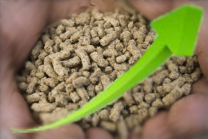 Better results for feed division Cargill