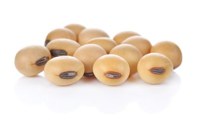 EU increases soybeans imports from US. Photo: Shutterstock