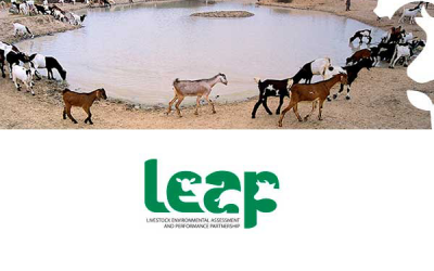 Global Feed LCA guidelines released for public consultation