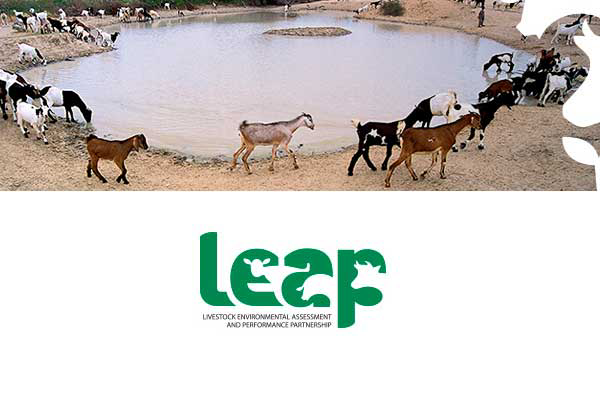 Global Feed LCA guidelines released for public consultation