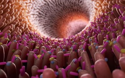 3D-illustration of the villi and bacteria in the gut. Photo: Shutterstock