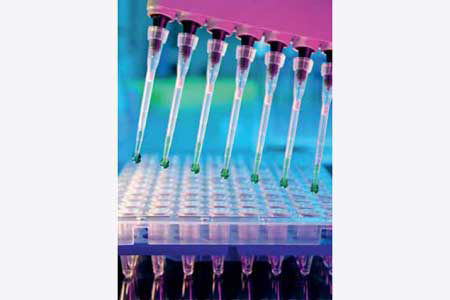 TNO Triskelion has developed a reliable real time PCR-test for tracing ruminant protein in animal feeds.