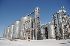 Cherkizovo to launch animal feed plant end of 2015