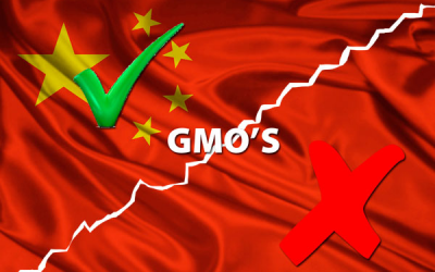 China s GM debate heats up