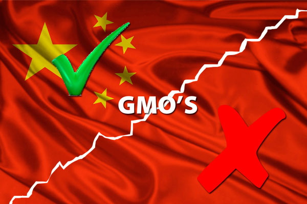 China s GM debate heats up