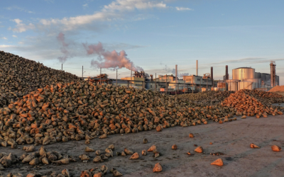 Suger factory in Tulln