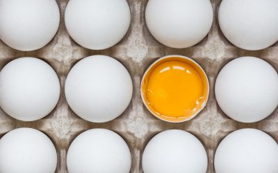 Better eggs, not just more. Photo: Shutterstock