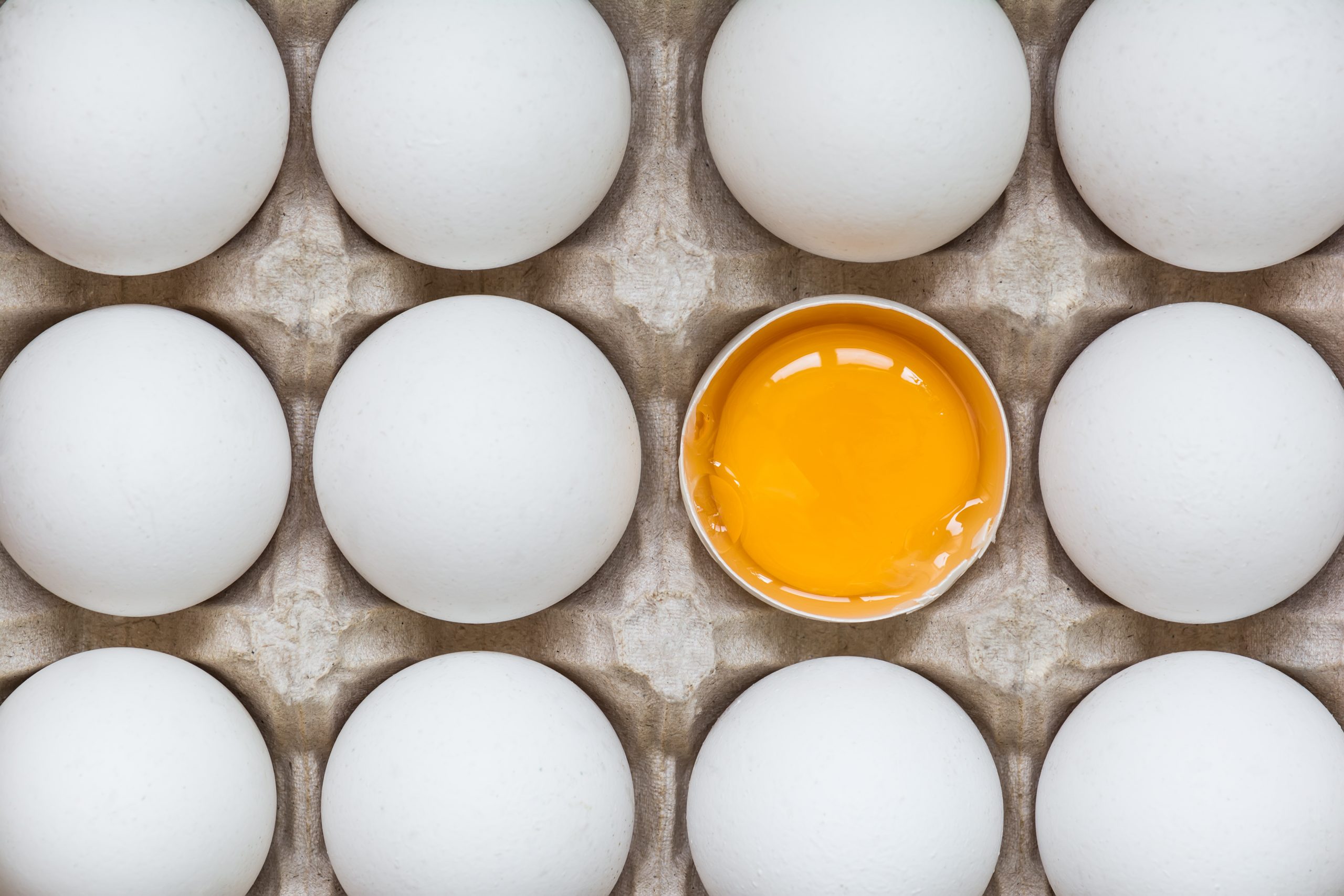 Better eggs, not just more. Photo: Shutterstock