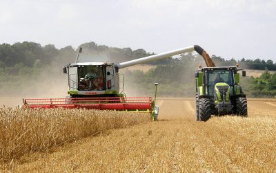 There are around 4.8 million hectares of land utilised for agriculture in the Republic of Ireland including 368,000 hectares dedicated to arable production farmed by just over 7,000 tillage farmers. Photo: Chris McCullough