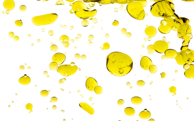 EFSA Lecithin for animal feed considered safe. Photo: Shutterstock