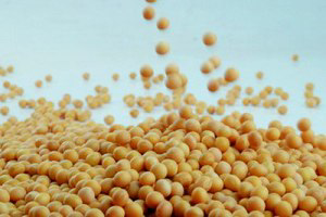 Russia to reduce the import of soybeans