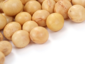 Salt tolerant genes in soybeans found