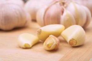 Research: Garlic extract inhibits zearalenone toxicity