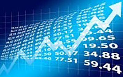 Feed additives market update