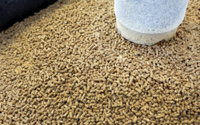 ASF leads Russia to refuse Belarusian feed additives