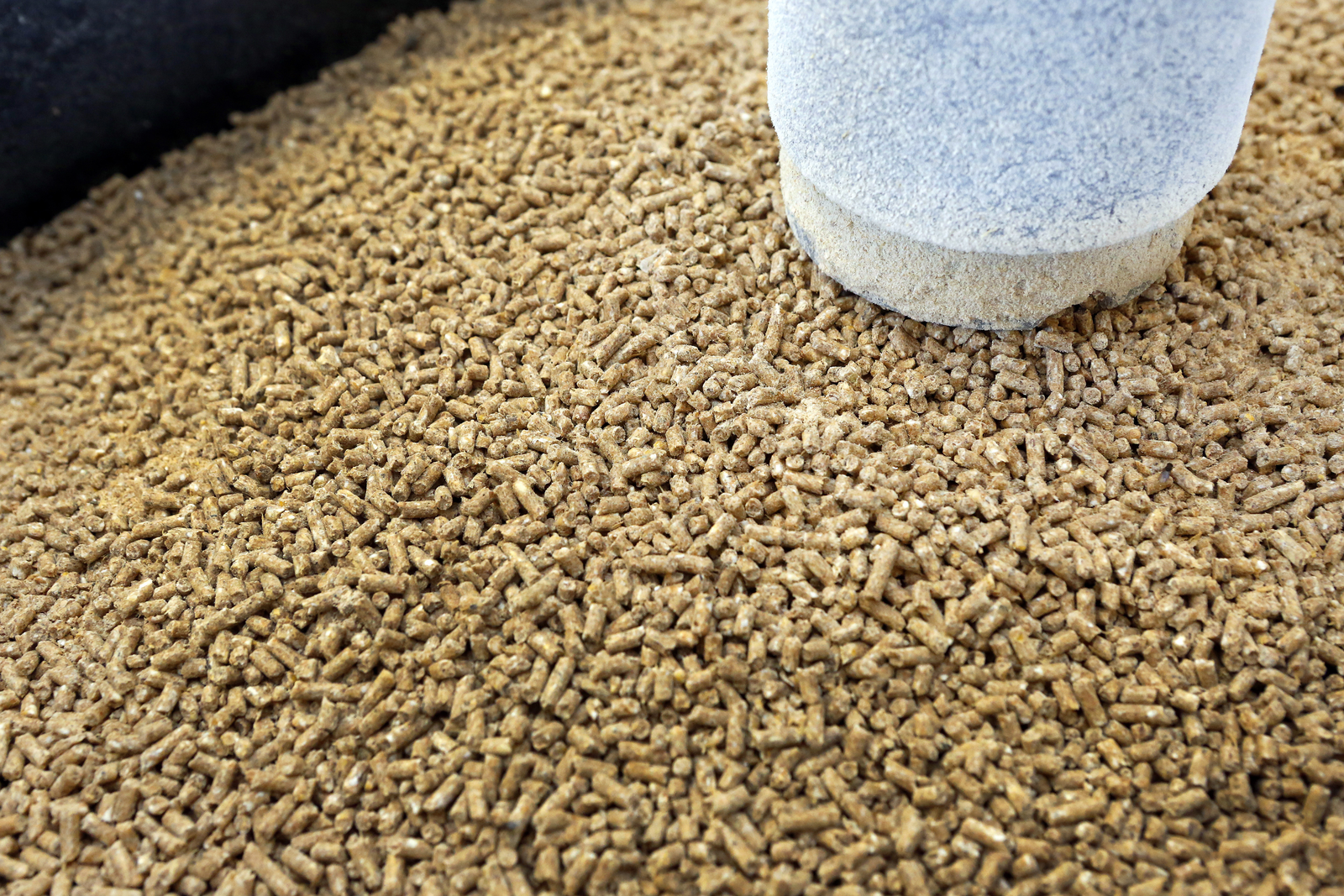 ASF leads Russia to refuse Belarusian feed additives
