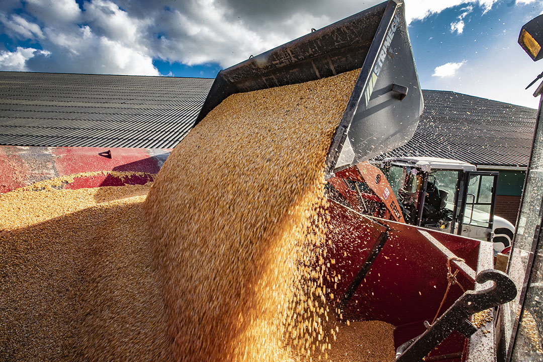 The variable import duty for corn was introduced in 2010, when the European Commission adjusted the grain market regulation. Photo: Ronald Hissink