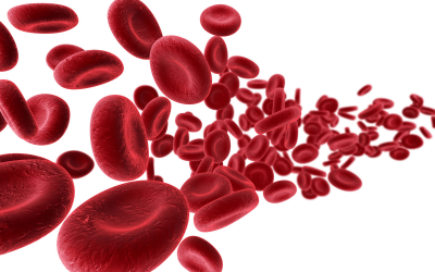 Each mycotoxin needs a specific blood parameter to investigate its effect on the animal.