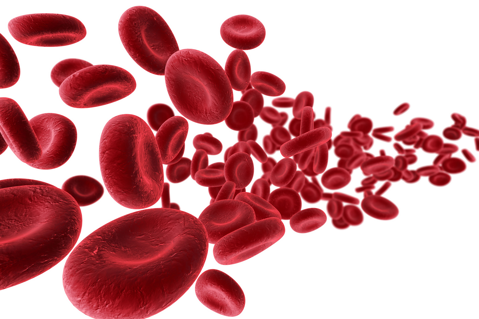 Each mycotoxin needs a specific blood parameter to investigate its effect on the animal.